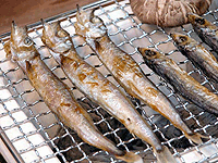 おいしそうなししゃも