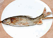 鮎の塩焼き
