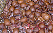 焙煎終了のコーヒー豆