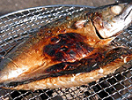 おいしそうな焼け具合